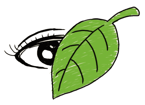 看图猜成语答案图解:一叶障目iiy成语查询